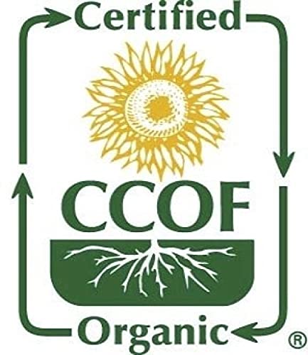 McCabe Organic Millet Flour - Millet Flour Organic | Rich with Fiber & Minerals | USDA and CCOF Certified | Product of USA | 2Lbs