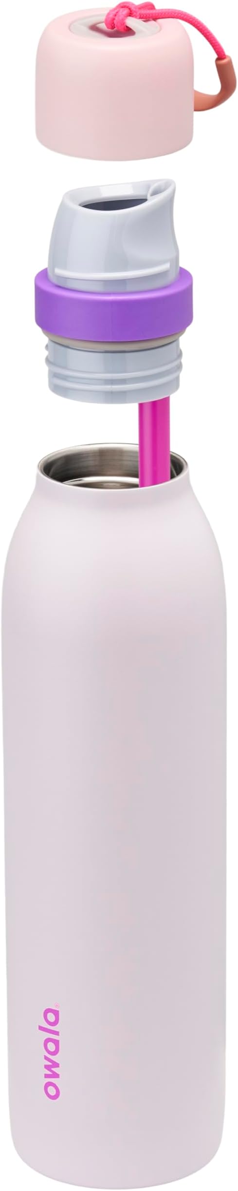 Owala FreeSip Twist Insulated Stainless Steel Water Bottle with Straw for Sports and Travel, BPA-Free, 24-oz, Pink/Purple (Dreamy Field)