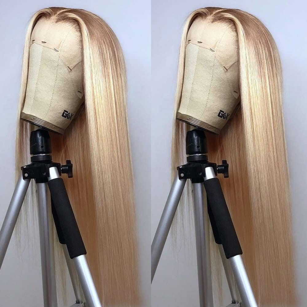 Andria Lace Front Wigs Straight Hair Glueless Lace Wigs Synthetic Long Silk Straight Natural Wig Heat Resistant Fiber Ombre Dirt