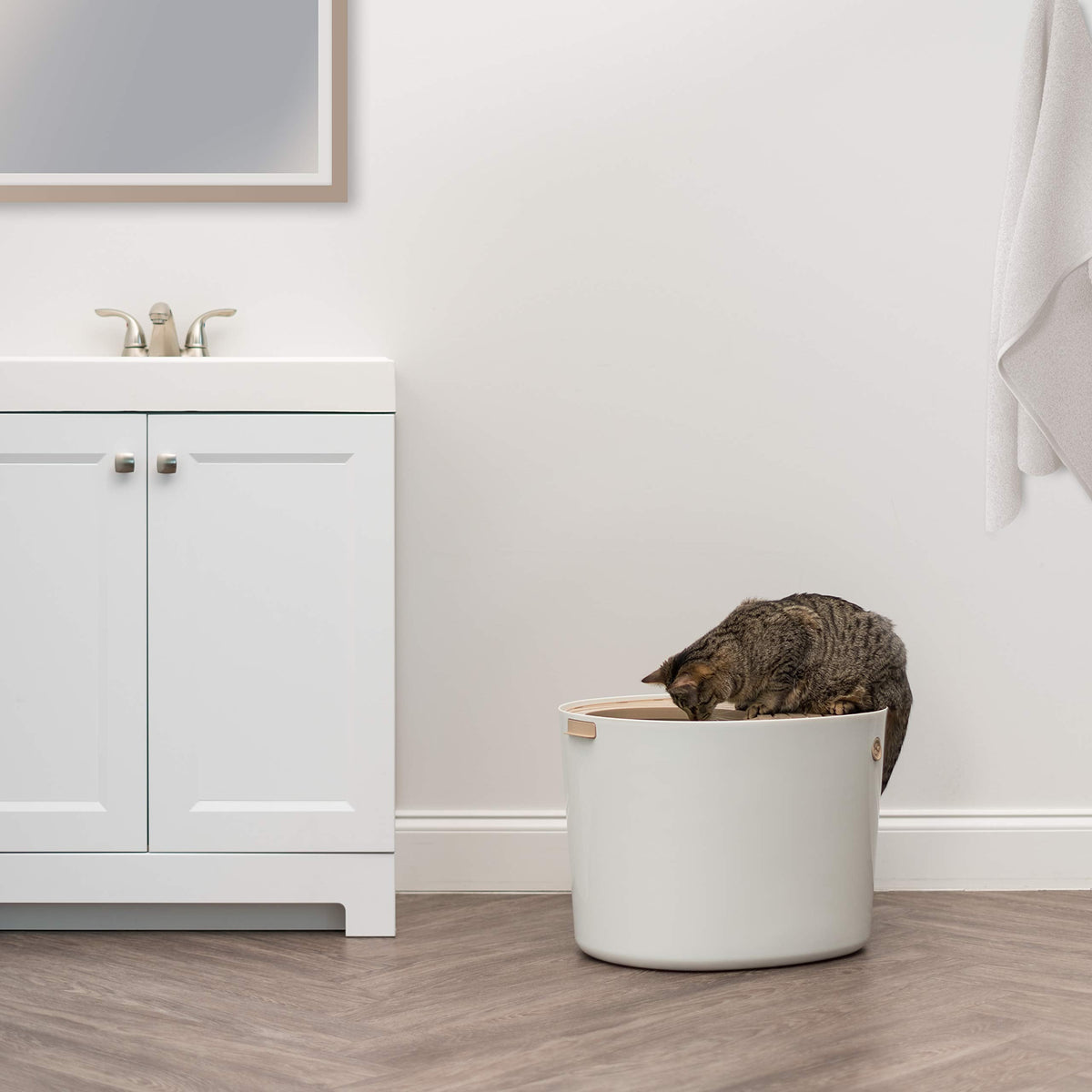 IRIS USA Top Entry Cat Litter Box, Hooded Privacy, Large, Beige/White