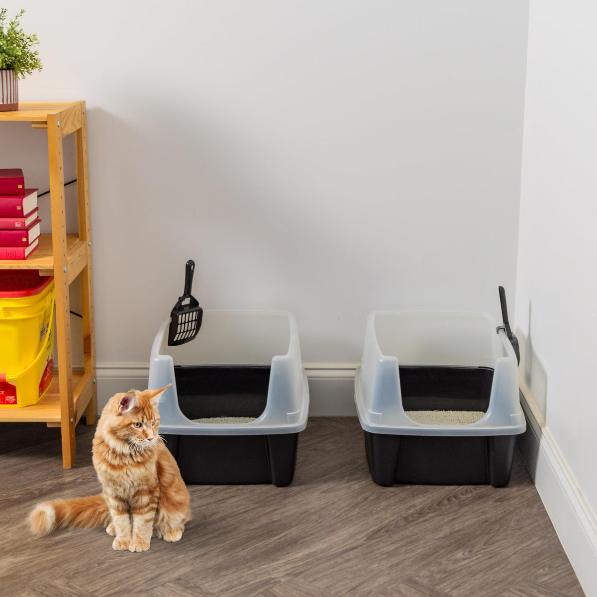 IRIS USA High Sided Cat Litter Box, Scatter Shield, Large, Black 2 Pack