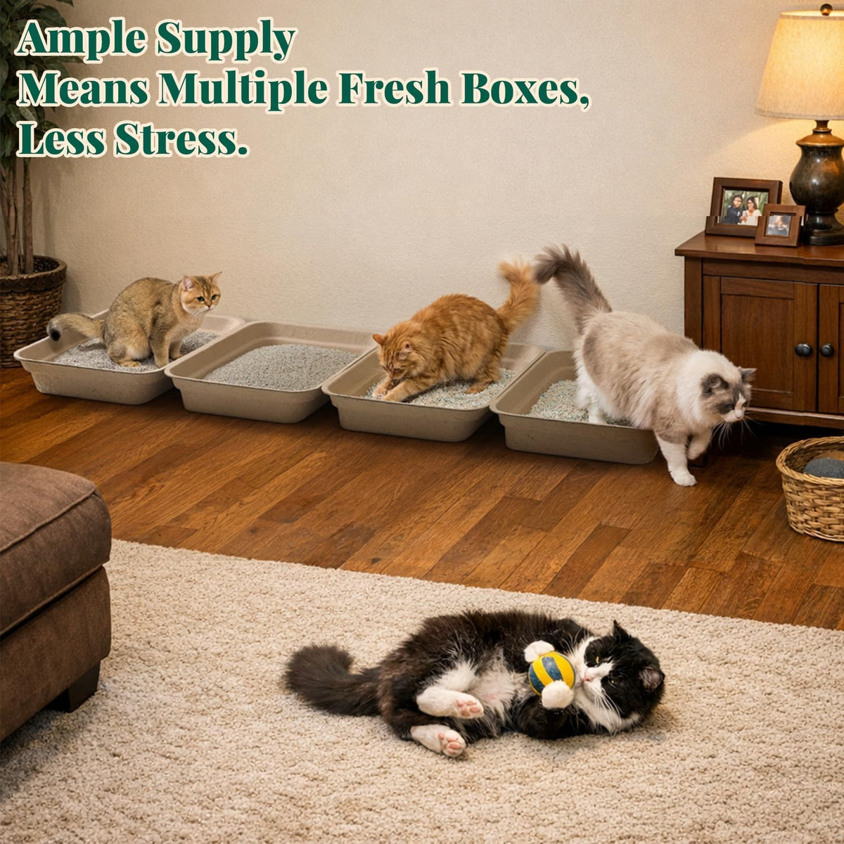 10-Pack Disposable Litter Box for Kitty Cats, Thick & Leak-Proof, Eco-Friendly Travel & Home Litter Pan, No-Scrub for Cats
