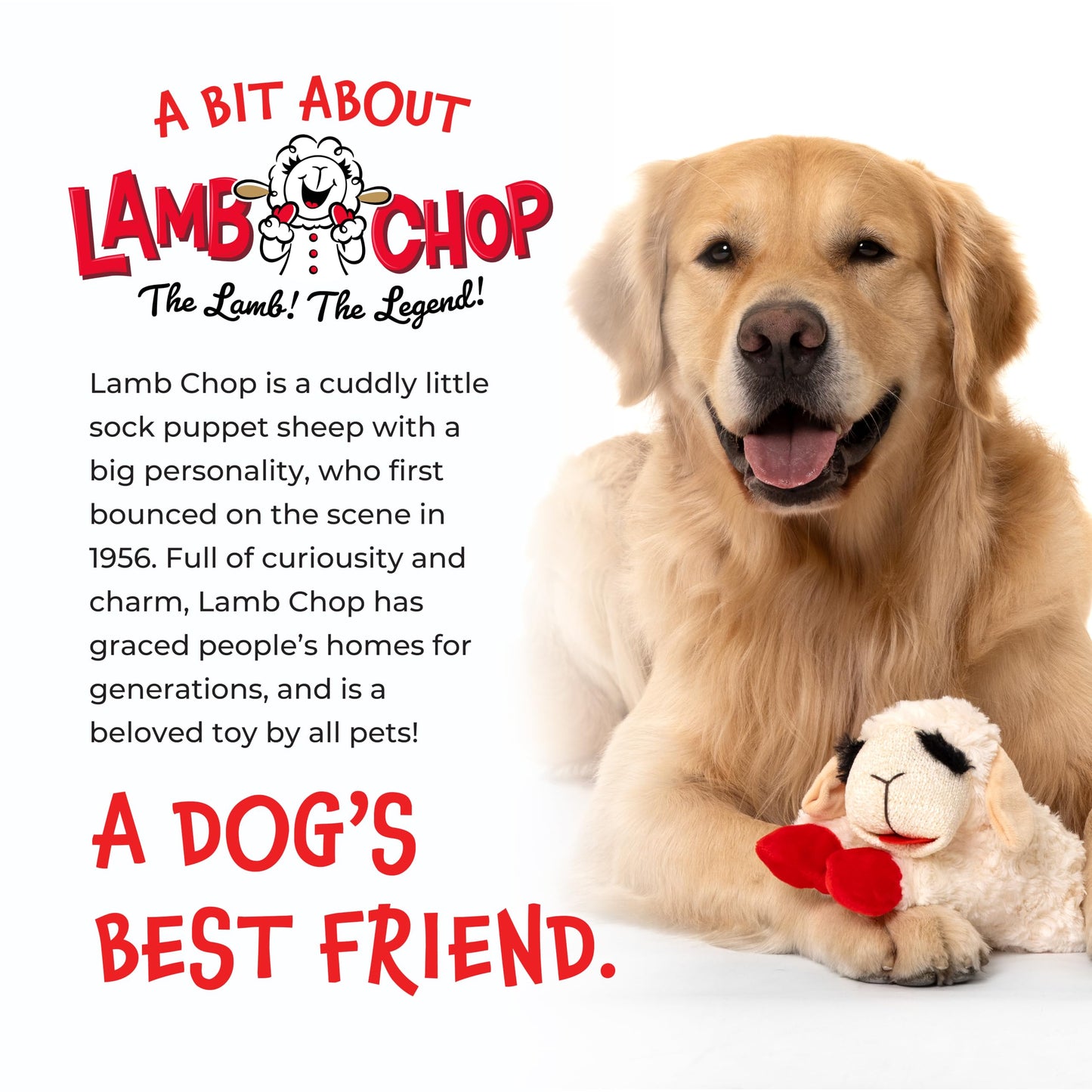 Multipet Lamb Chop Dog Plush Toy - Squeaky Toy for Small & Medium Dogs - Extra Soft Plush - Stuffed Animal for Cuddling & Playing (10", Cream, 5 Squeakers)