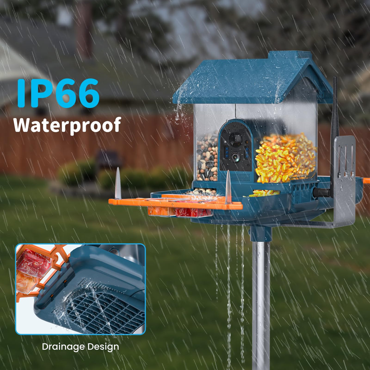 Smart Solar Bird Feeder with Camera & Outdoor Bird Bath