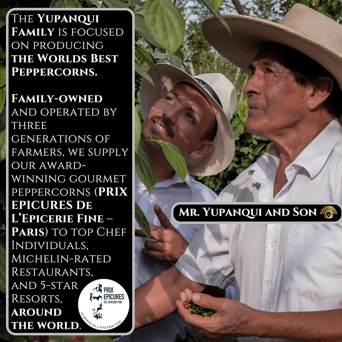 YUPANQUI Organic Black Pepper Grinder Manual Pepper Grinder 3.5oz Award-Winning Gourmet Peppercorns Peppermill BLACK IMPERIAL, Best Black Peppercorn Grinder for Kitchen