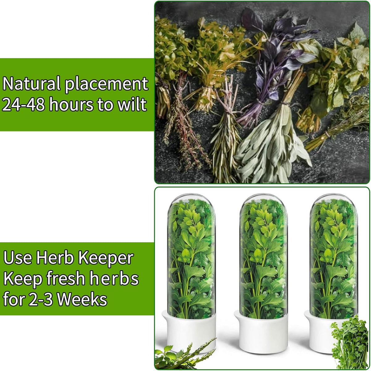 Herb Saver for Refrigerator, Herb Saver Pod Cilantro Containers for Refrigerator, Fresh Herb Keeper for Cilantro, Parsley, Asparagus, Mint, Keeps Greens Vegetables for 2-3 Weeks (Herb Keeper 1Pack)