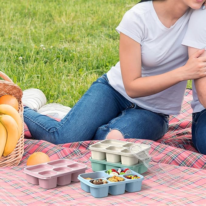 Bento Box Adult Lunch Box - 4 Pack, 5 - Compartment Meal Prep Container for Kids, Reusable Food Storage Snack Containers - Stackable for School, Work, and Travel (Wheat(Green/Blue/Pink/Beige))