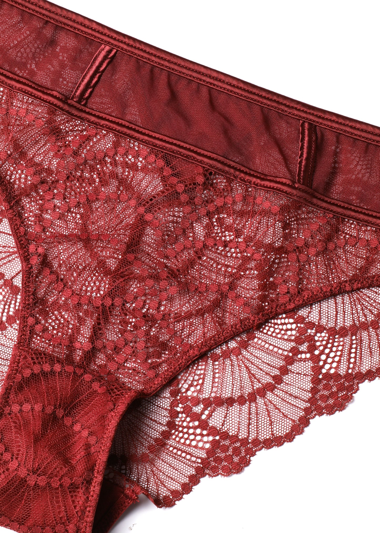ANYA Plus Bronte Red Lace Brief Panties