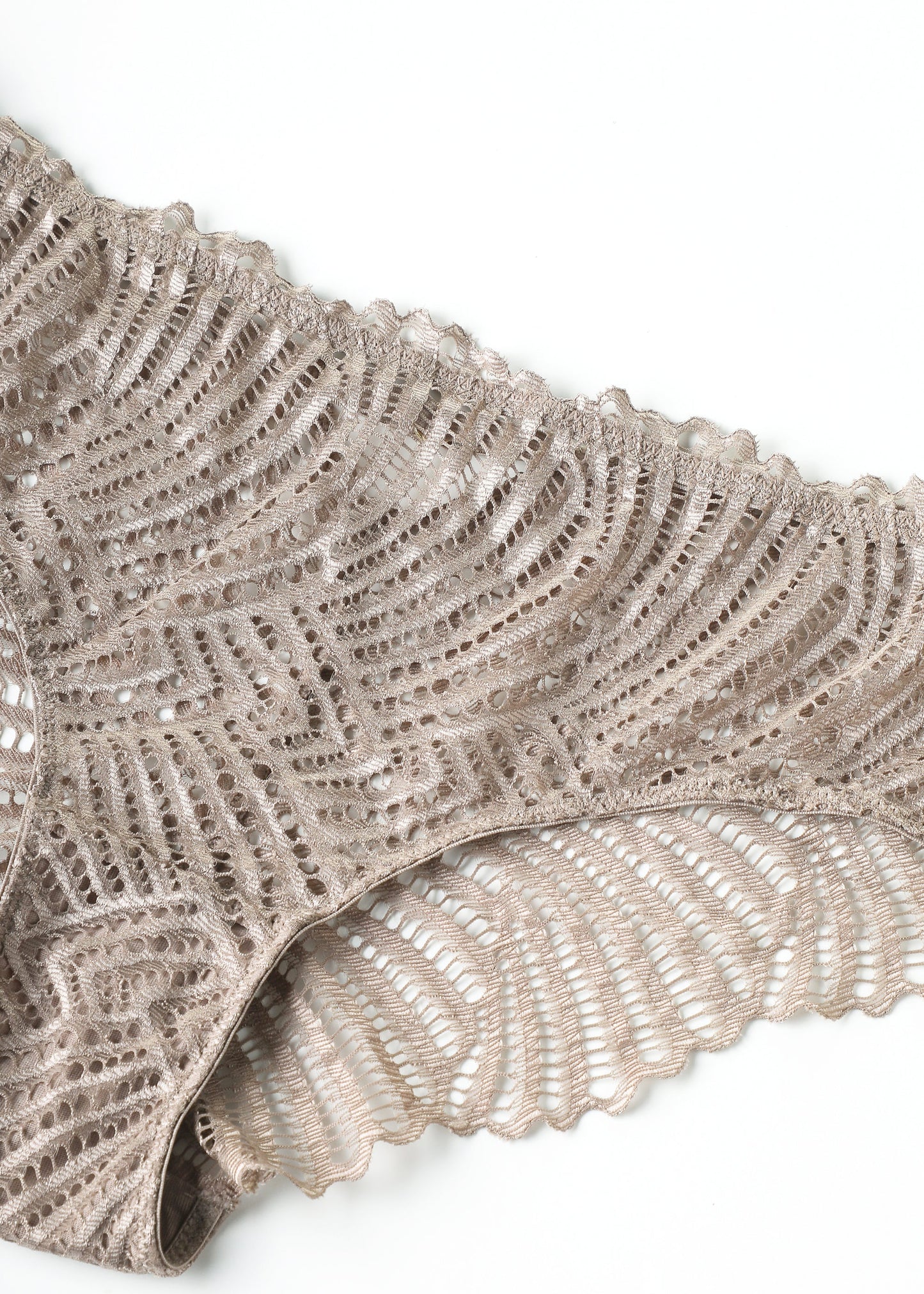 MANDY Plus Brown Lace Brief Panties