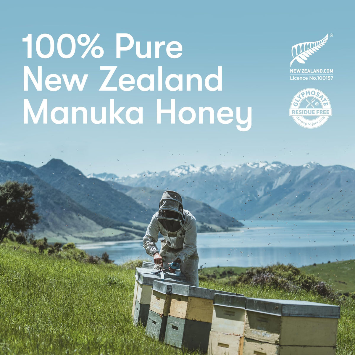 New Zealand Honey Co. Pure Manuka Honey UMF 24+ – 17.6oz / 500g Raw Honey