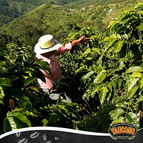 Yaucono Ground Medium Roast Arabica Coffee Pods — 72 Count, Keurig Compatible
