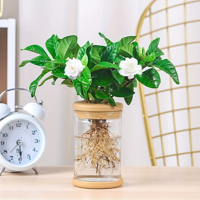 https://img.kwcdn.com/product/fancy/04aa7860-4e06-458b-b20d-a094e40c8d5c.jpg