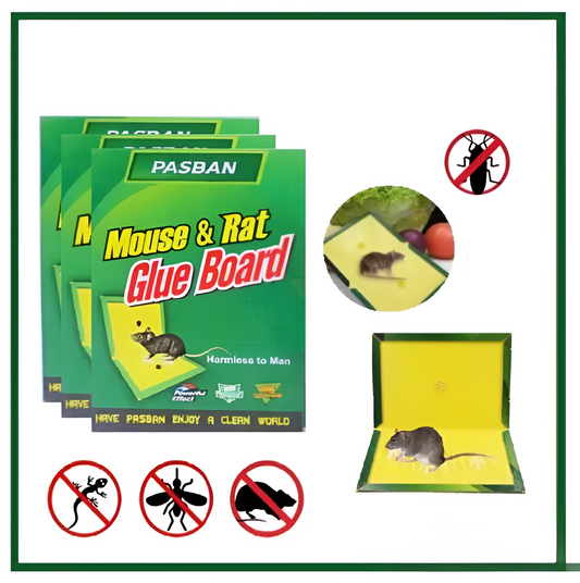 Pack of 3- Pasban Original Reusable Expert Catch Mouse Rat Glue Catch