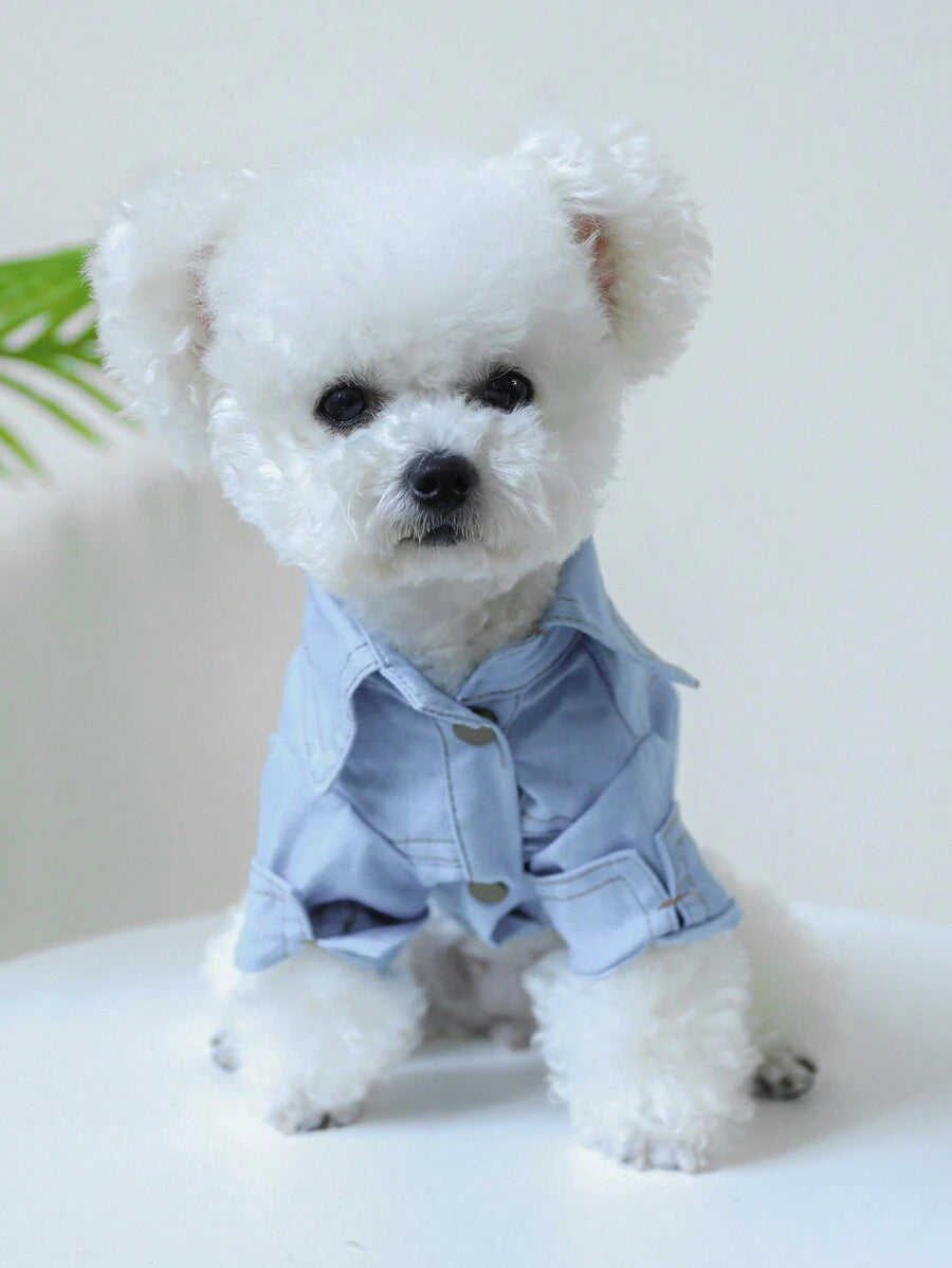 //img.ltwebstatic.com/images3_spmp/2024/05/11/8b/171541101659d8895cbc8089517c0ead67adbffb81_thumbnail_900x.webp
