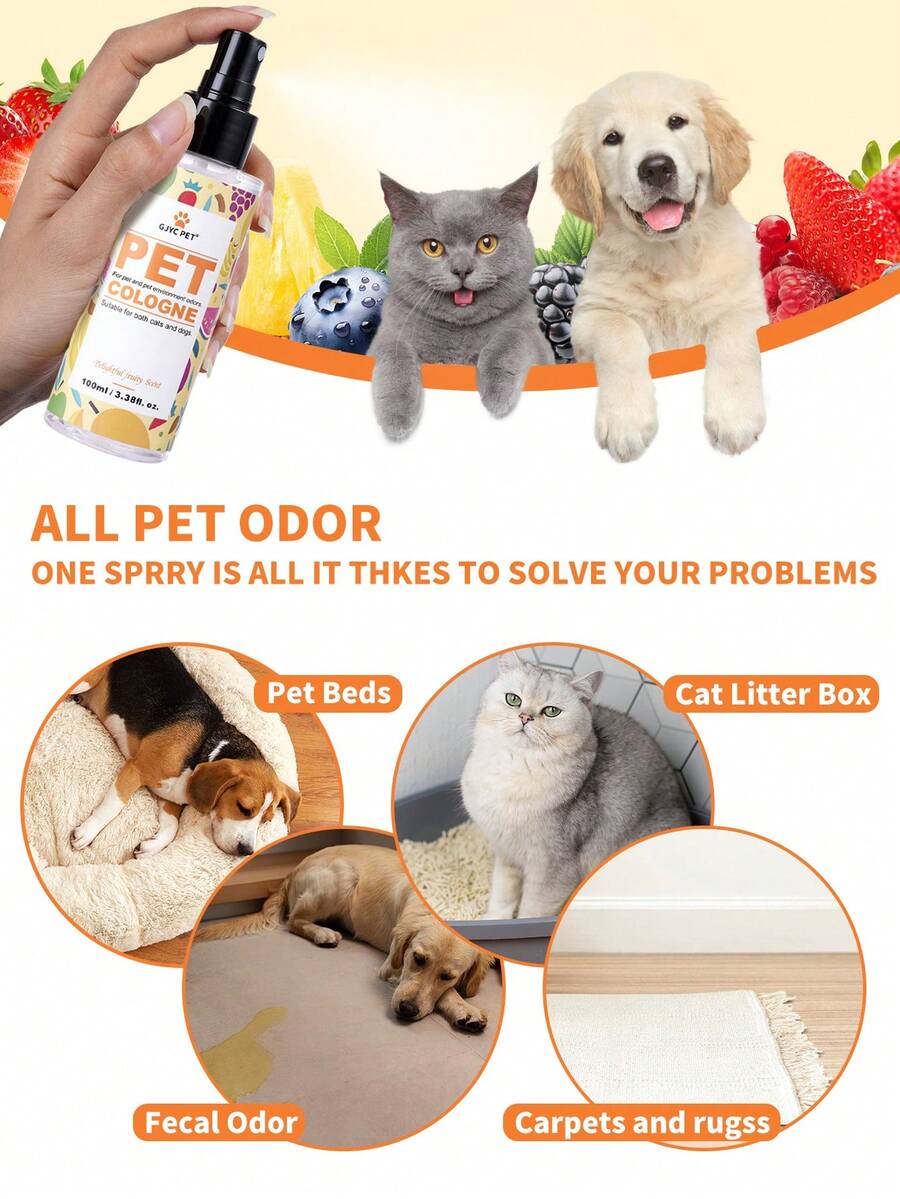 //img.ltwebstatic.com/v4/j/spmp/2025/11/19/b3/17635233637af31df3520858e63c3e0f543147405b_thumbnail_900x.webp