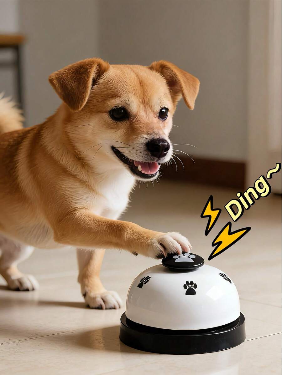 //img.ltwebstatic.com/v4/j/spmp/2025/12/27/00/1766781426b14e5f34fe4f6ef246388d159901999e_thumbnail_900x.webp