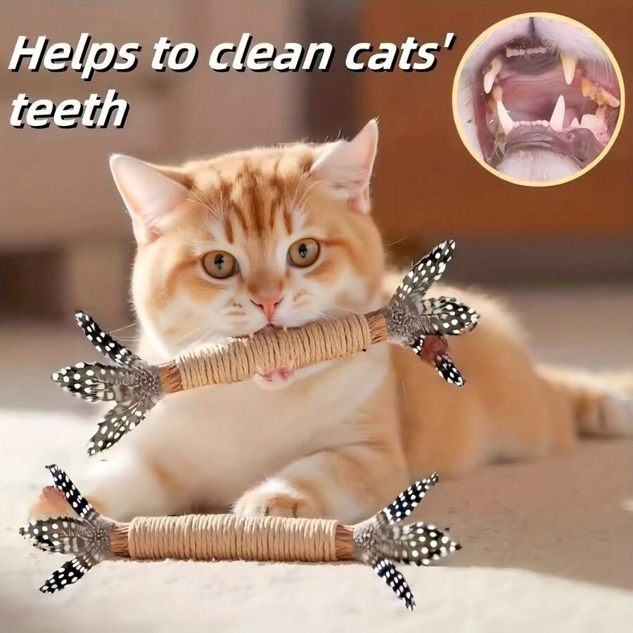 //img.ltwebstatic.com/v4/j/spmp/2026/01/22/64/17690739175cbaac17eac05e2f968b26d4de0c6dfb_square_thumbnail_900x.webp