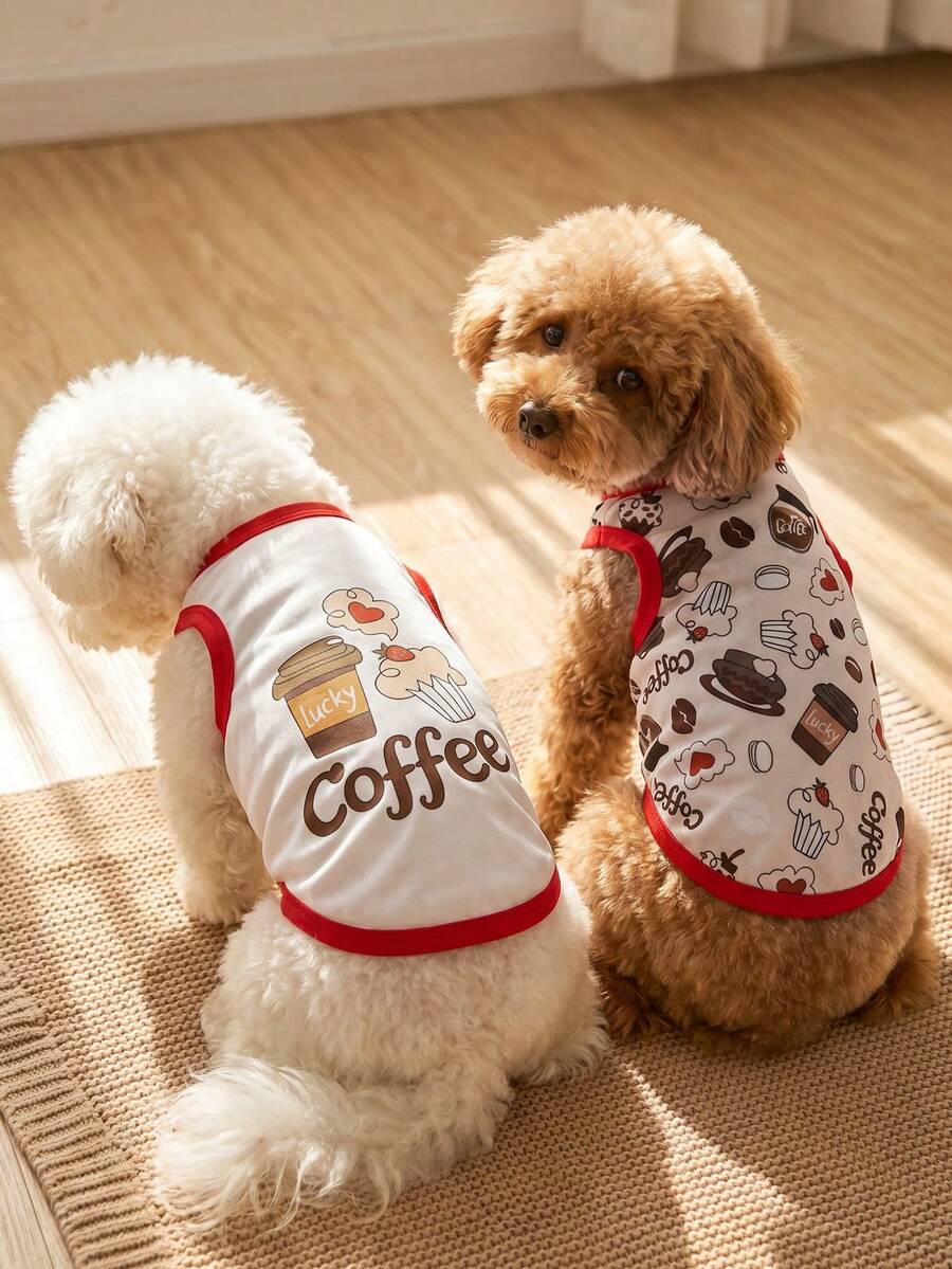 //img.ltwebstatic.com/v4/j/spmp/2026/05/19/10/17791730808bfe06e71e2099882bcb09c1e70415cc_thumbnail_900x.webp