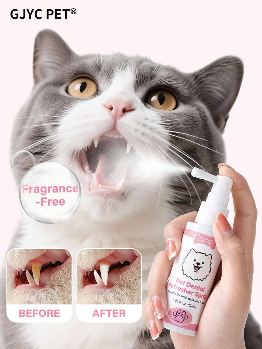 //img.ltwebstatic.com/v4/j/spmp/2026/06/10/5d/1781080966ca00014498adc2104102b730775c159b_thumbnail_900x.webp
