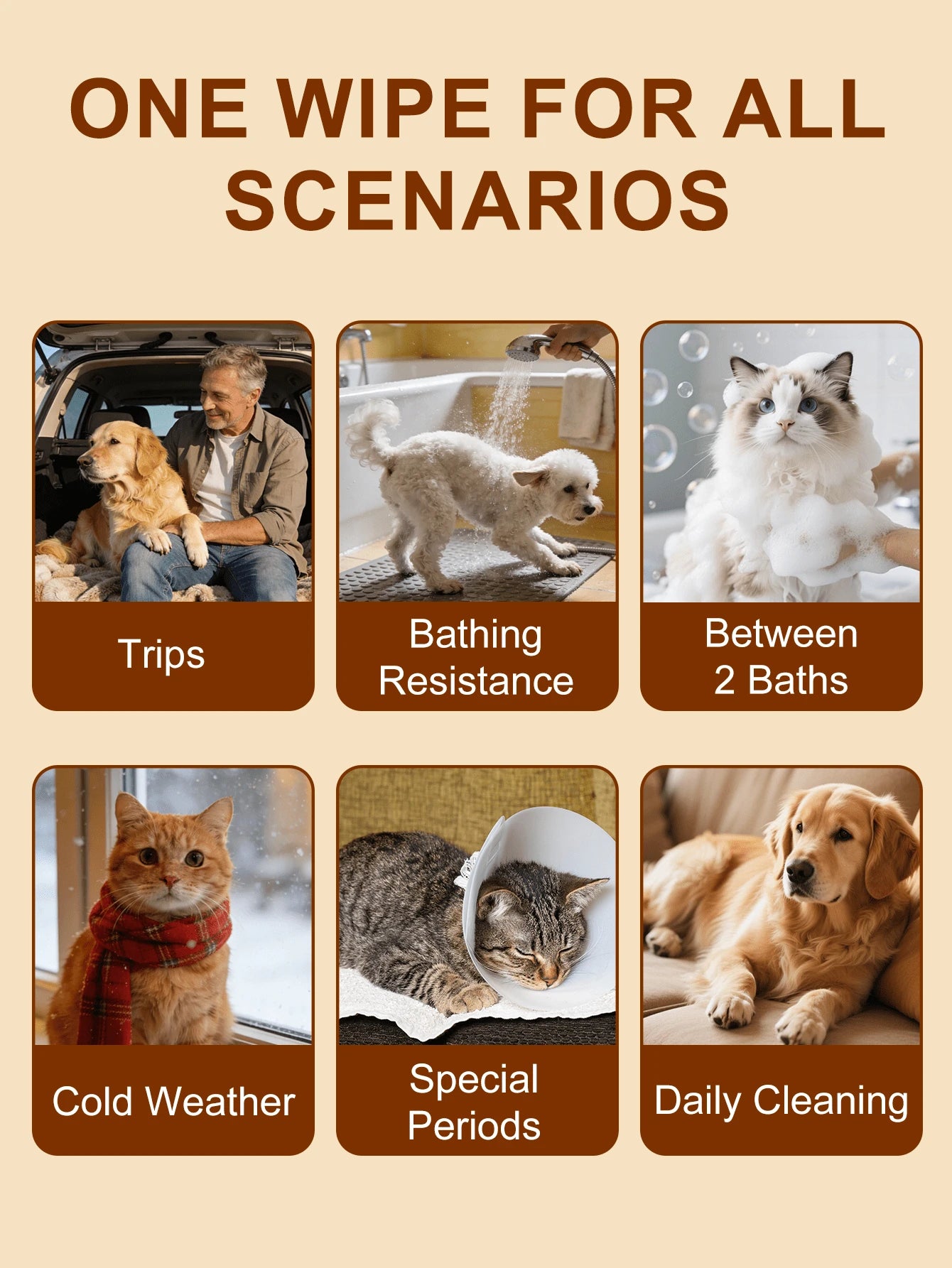 //img.ltwebstatic.com/v4/p/spmp/2026/07/06/33/17833098174b1b1a2e30c82de9072a7729eec4c003_thumbnail_900x.webp