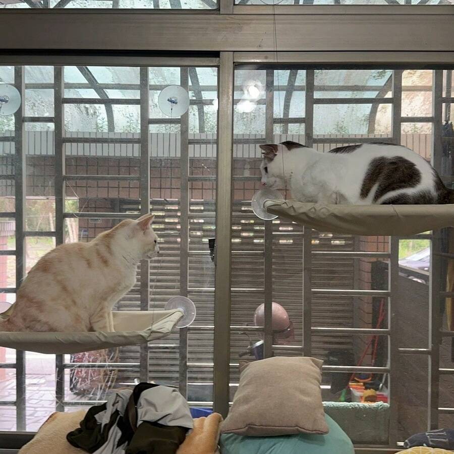 //img.ltwebstatic.com/v4/j/spmp/2026/07/11/a2/1783714633e10fb05fff1038bd0089ed4f186f976b_square_thumbnail_900x.webp