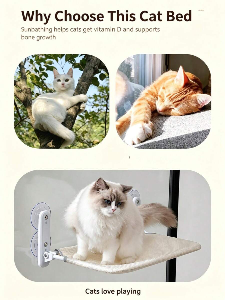 //img.ltwebstatic.com/v4/j/spmp/2026/07/25/6d/17849673379167b04daf9cb4a90d20fa73e5981571_thumbnail_900x.webp