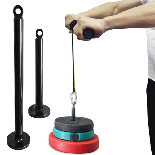 Equipment Dumbbell Barbell Rack Holder Weight Plate Loading Pin Dumbbell Rack, Weightlifting Holder Stand Fitness Loading Pin - color: Diameter 0.8 x 8.7 inches (20