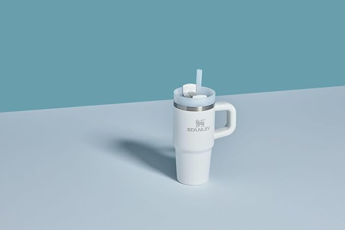 STANLEY Quencher H2.0 Tumbler with Handle and Straw 20 oz | Flowstate 3-Position Lid | Cup Holder Compatible for Travel | Insulated Stainless Steel Cup | BPA-Free | Frost
