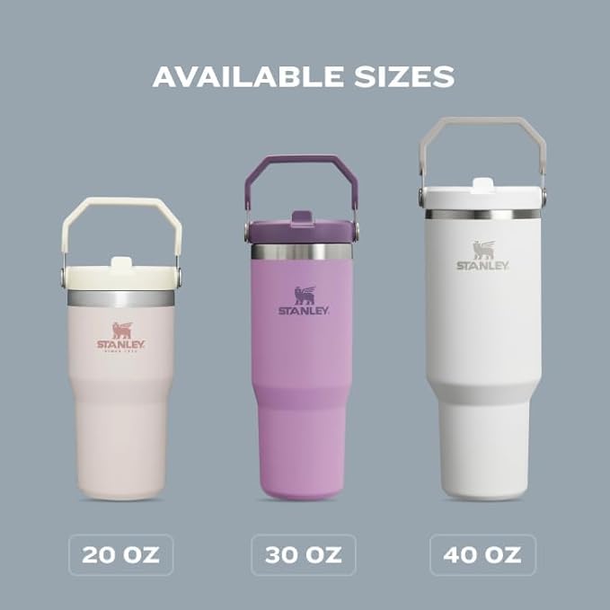 STANLEY IceFlow 2.0 Flip Straw Tumbler with Handle 30 oz | Twist On Lid and Flip Up Straw | Leak Resistant Water Bottle | Insulated Stainless Steel | BPA-Free | Dew Drop
