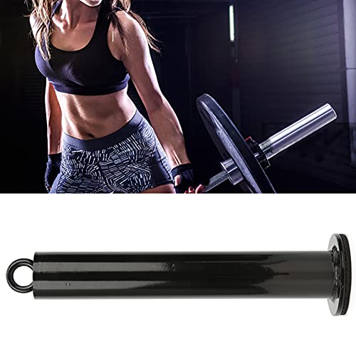 Estink Loading Pin Stainless Steel Weight Plate Holder Grip Training Tool 20mm or 48mm Tube 220mm or 320mm Length for Forearm Work Home Gym Strength Practice - size: 48 diameter*320mm