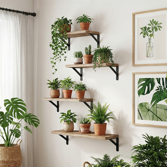 https://img.kwcdn.com/product/fancy/4e66f663-51f6-44fd-9b11-0df3013e6223.jpg