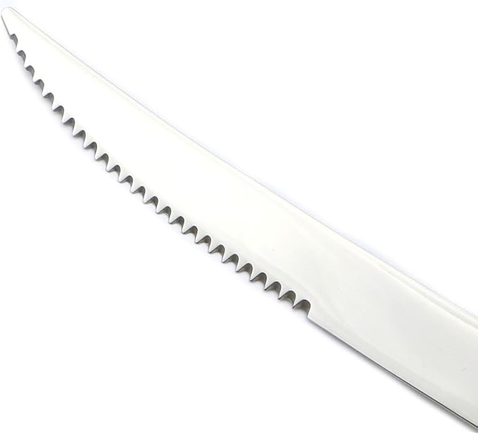 20-Piece 18/10 Stainless Steel Serrated Steak Knife Flatware Set, Service for 4