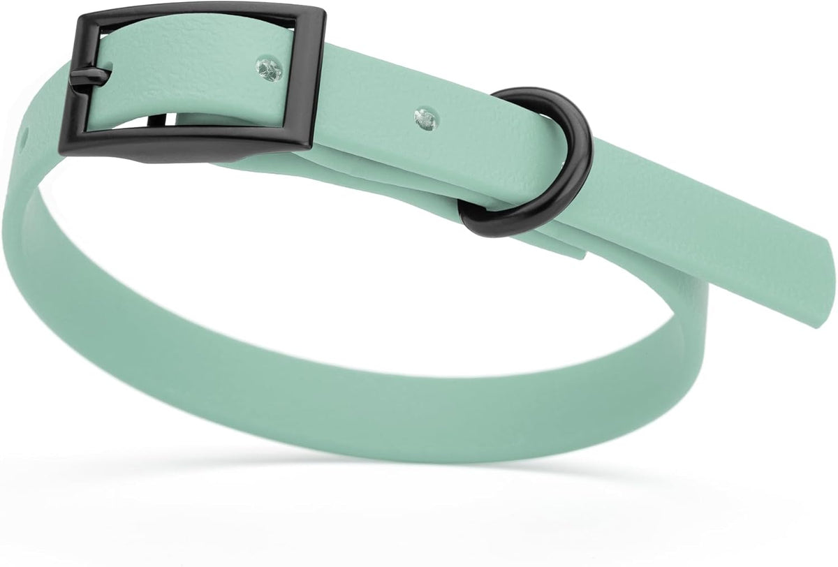 Dogline Biothane Waterproof Dog Collar Strong Coated Nylon Webbing with Black Hardware Odor- Proof for Easy Care Easy to Clean High Performance Fits Small Medium or Large Dogs, Sage Green