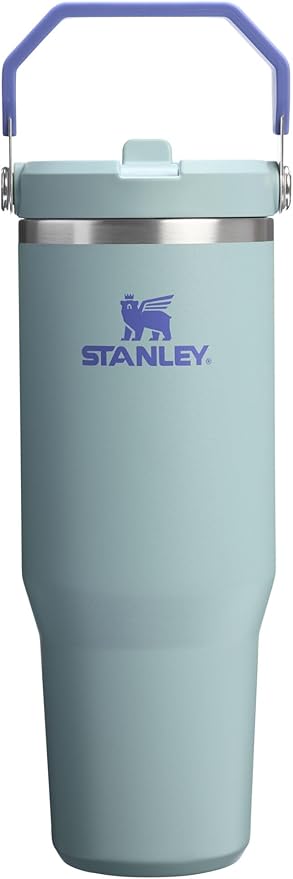 Stanley IceFlow 2.0 Flip Straw Tumbler with Handle 30 oz | Twist On Lid and Flip Up Straw | Leak Resistant Water Bottle | Insulated Stainless Steel | BPA-Free | Exclusive Blue Cactus