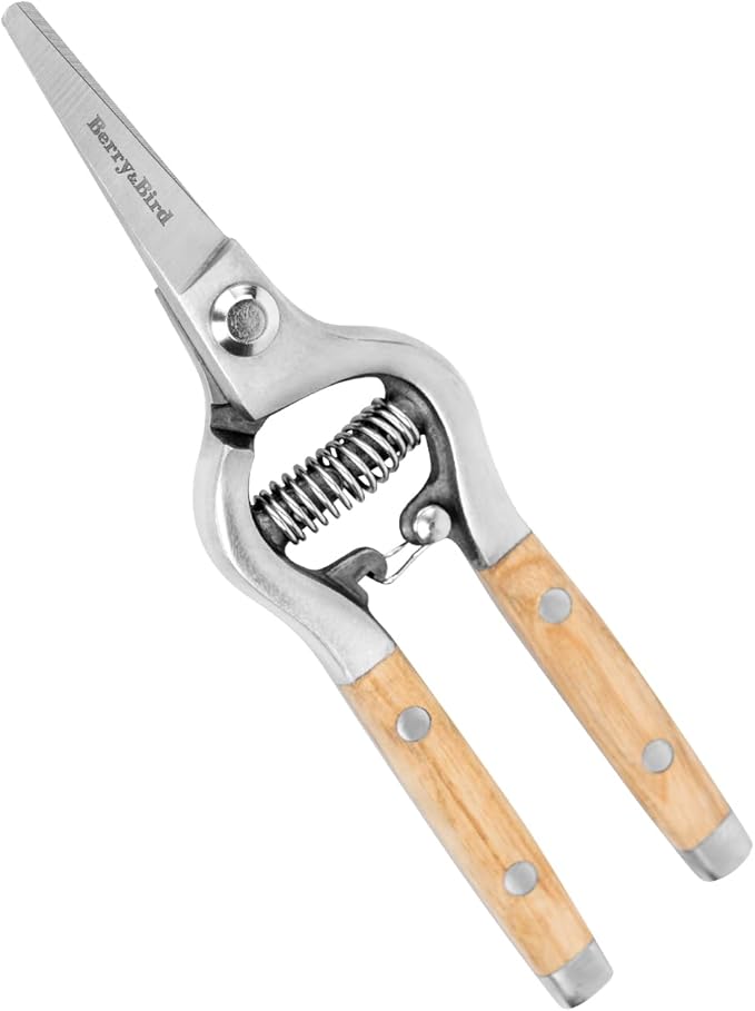 Berry&Bird Straight Pruning Shears with Stainless Steel Blades Garden Hand Pruner 8'' Scissors with Wooden Handle Clippers for Gardening Trimming Cutting Bonsai