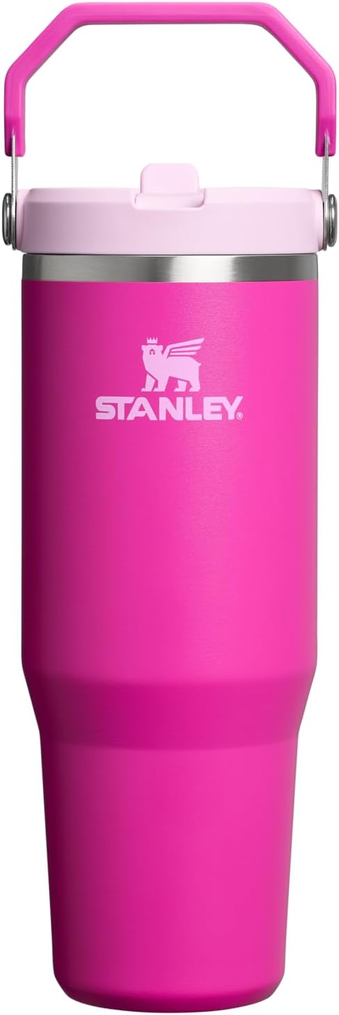 STANLEY IceFlow 2.0 Flip Straw Tumbler with Handle 30 oz | Twist On Lid and Flip Up Straw | Leak Resistant Water Bottle | Insulated Stainless Steel | BPA-Free | Violet Blossom