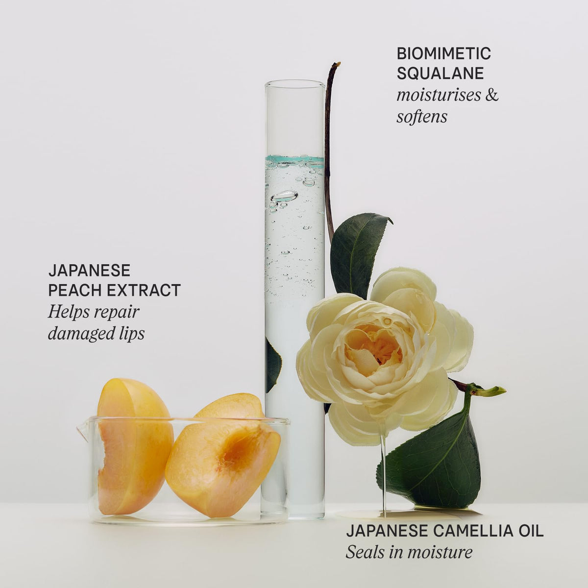 TATCHA Kissu Lip Mask, Visibly Plumps & Softens with Biomimetic Squalane