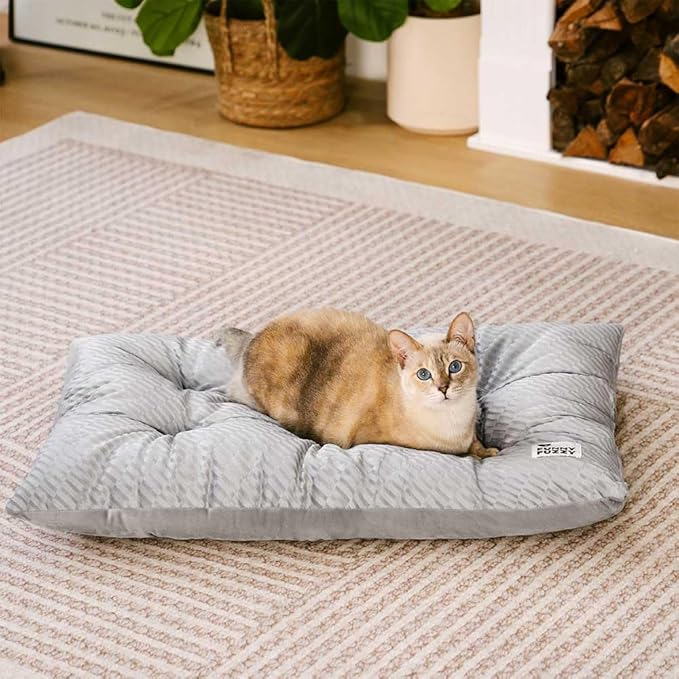 FUNNY FUZZY 2 in 1 Dog Bed Crate Pad Mat, Washable Reversible Floor Pet Mats,Fluffy Kennel Pad for Small Large Sized Dog,Indoor Cats,Sleeping Mattress, 23.6" × 17.9", Light Grey