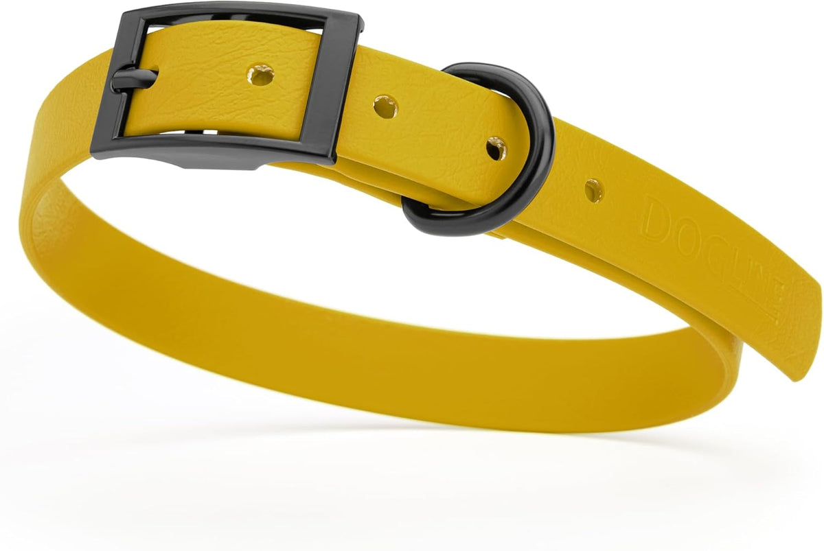 Dogline Biothane Waterproof Dog Collar Strong Coated Nylon Webbing with Black Hardware Odor- Proof for Easy Care Easy to Clean High Performance Fits Small Medium or Large Dogs, Treasure Gold