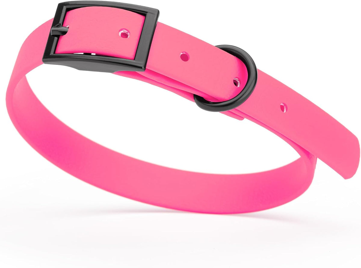 Dogline Biothane Waterproof Dog Collar Strong Coated Nylon Webbing with Black Hardware Odor- Proof for Easy Care Easy to Clean High Performance Fits Small Medium or Large Dogs, Passionfruit Pink