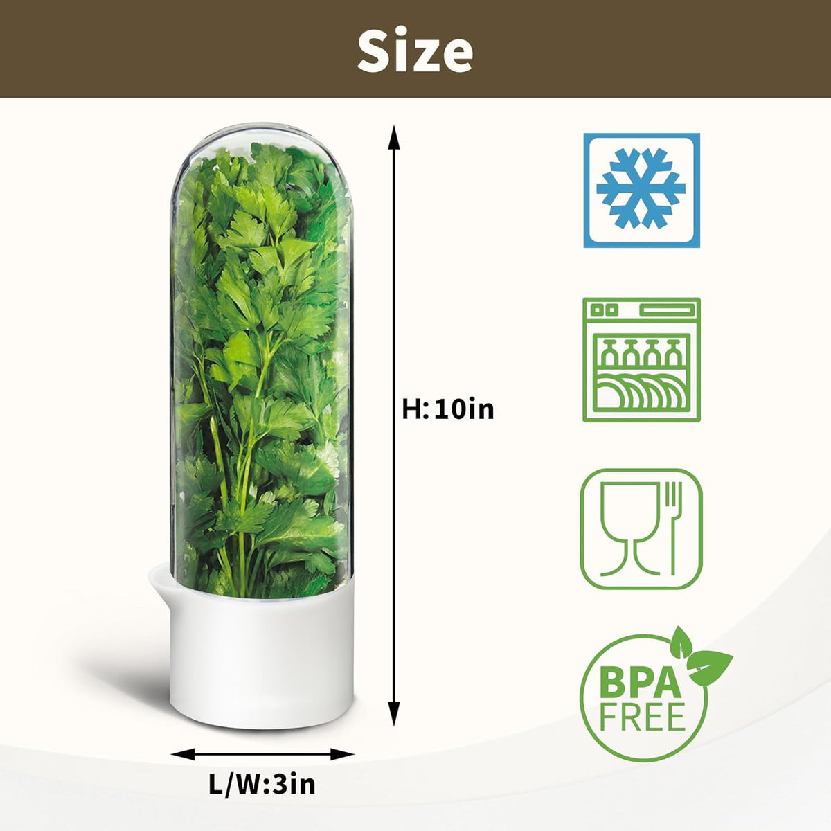 Herb Keeper for Refrigerator, Herb Saver for Refrigerator, Vegetable Preservation Bottle for Cilantro, Mint, Parsley, Asparagus, Keeps Greens Fresh for 2-3 Weeks (1PCS)
