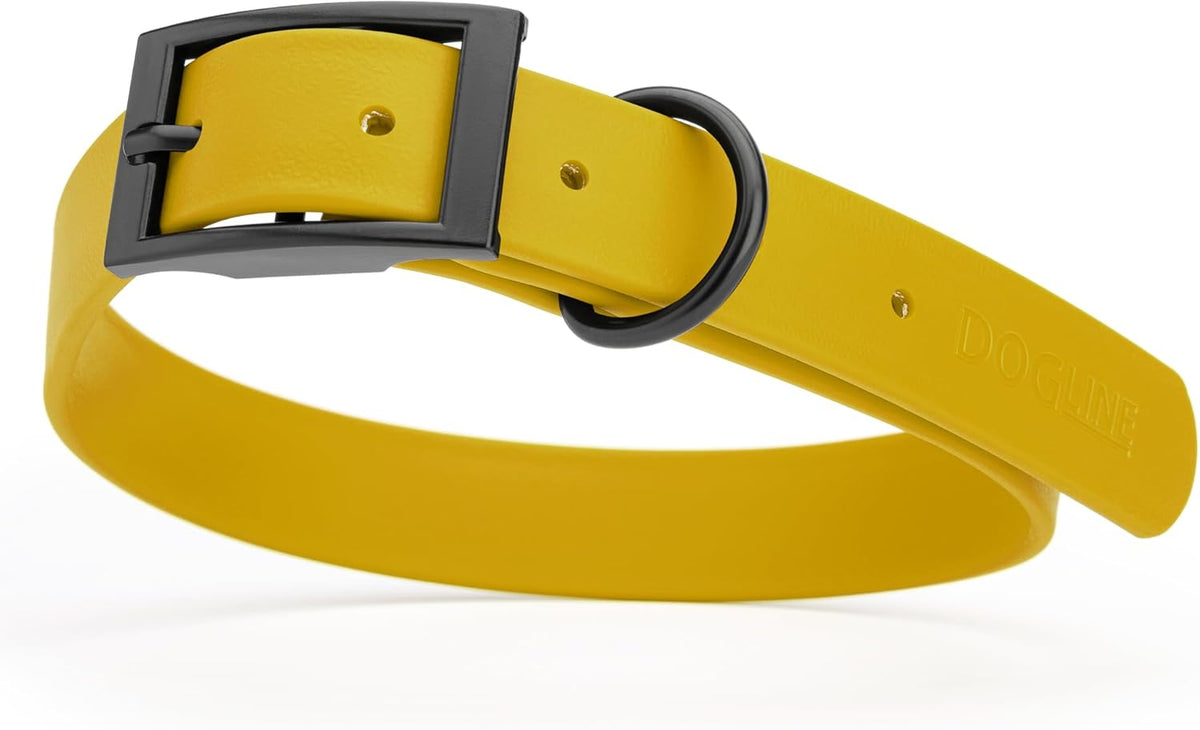 Dogline Biothane Waterproof Dog Collar Strong Coated Nylon Webbing with Black Hardware Odor- Proof for Easy Care Easy to Clean High Performance Fits Small Medium or Large Dogs, Treasure Gold