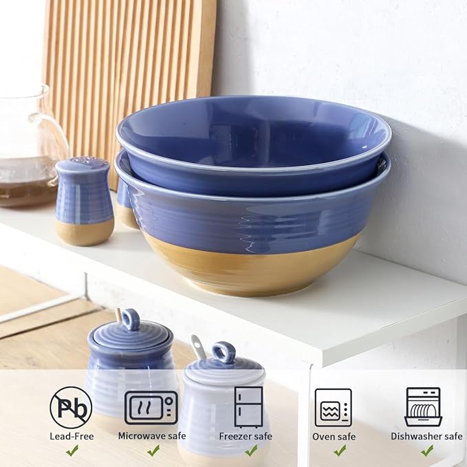 Hasense Salad Bowls Set of 2, 9 Inch Purple Ceramic Serving & Mixing Bowls - 84 Ounce, Microwave Safe: Perfect for Entertaining, Cooking, Baking & Dinner Plates