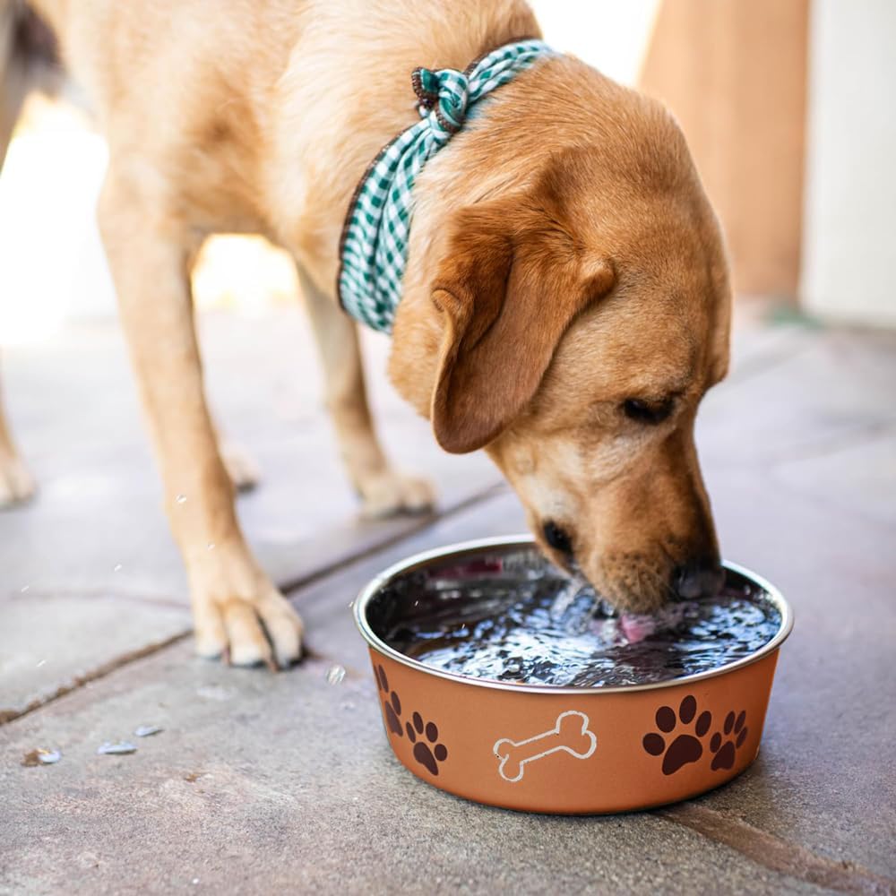 Loving Pets Bella Dog Bowls- Stainless Steel Dog & Cat Bowls - Spill Proof Dog Food Bowl, Cat Bowl, Puppy Essentials & Pet Supplies Great for Home & Travel (X-Large 65-100lbs, Copper)