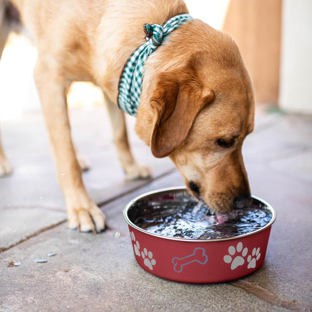 Loving Pets Bella Dog Bowls- Stainless Steel Dog & Cat Bowls - Spill Proof Dog Food Bowl, Cat Bowl, Puppy Essentials & Pet Supplies Great for Home & Travel (Small 10-20 lbs, Merlot)