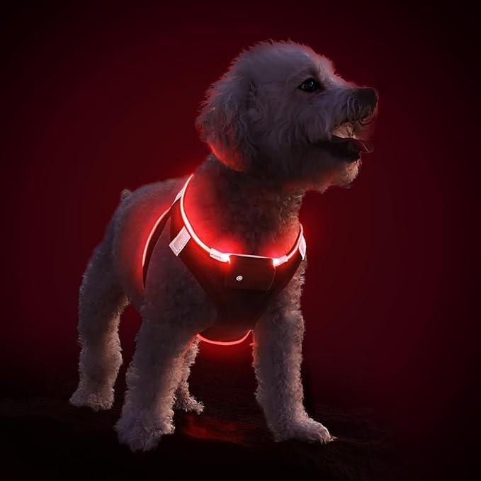 PceoTllar Light Up Dog Harness, LED No Pull Reflective Dog Harness, Flashing Lighted for Night Walking - Small/Medium, (Black Red,xs)