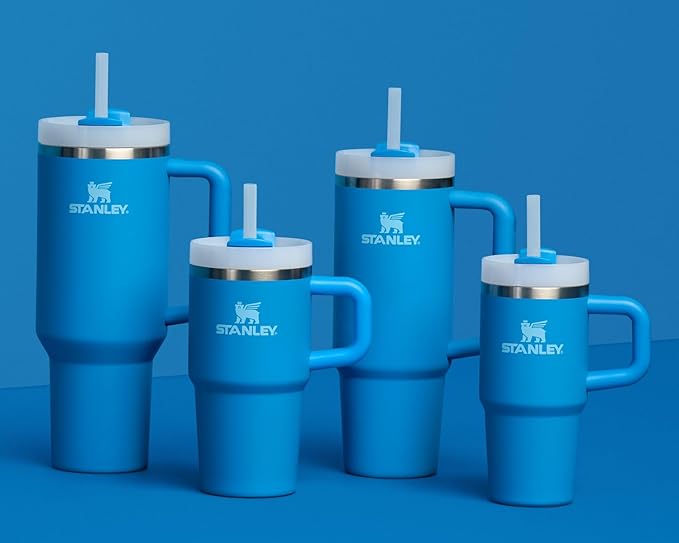 STANLEY Quencher H2.0 Tumbler with Handle and Straw 20 oz | Flowstate 3-Position Lid | Cup Holder Compatible for Travel | Insulated Stainless Steel Cup | BPA-Free | Azure