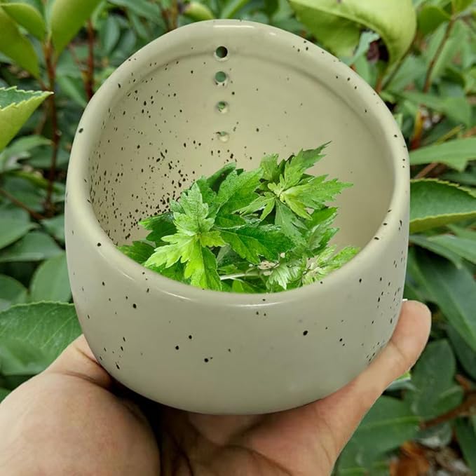Pottery Herb Stripper Bowl, 2025 Upgrade Pottery Herb Stripper Cup Ceramic Herb Peeling Cup, Handmade Different Round Hole Sizes Suitable for Peeling Off The Leafy Assembly (A)