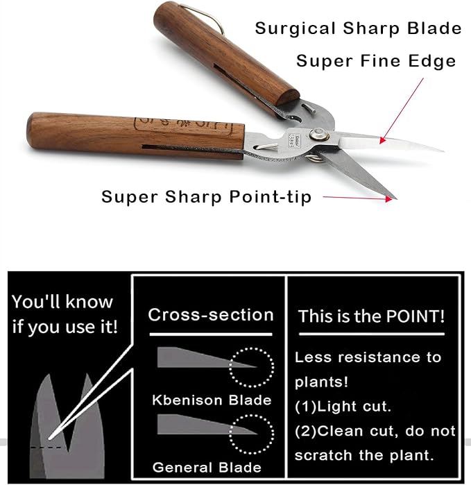 Razor Sharp Pruning Shears for Gardening, Garden Shears Carbon Steel Blade, Precision garden scissors Walnut Wood handle, 6.8” Garden Snips for Trimming Fruits, Vegetables, Flowers, Buds, Bonsai