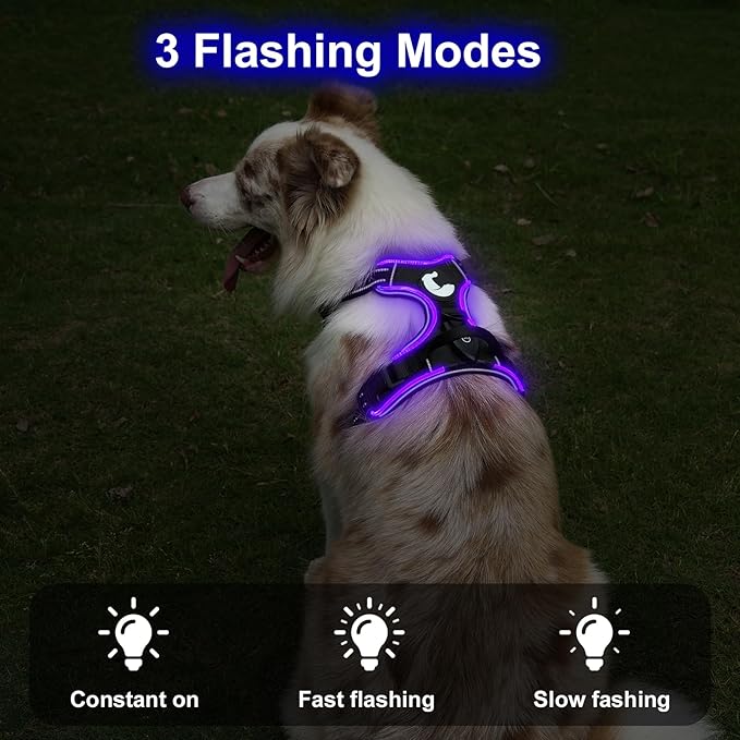 Taglory Light Up Dog Harness, Rechargeable No Pull Dog Vest with 3 Lightning Modes, Reflective Dog Harness with 2 Leash Clips & 4 Adjustable Slide Strips for Large Dogs, Black-Purple, L